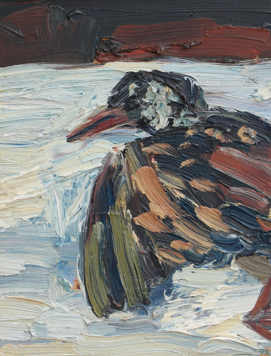 'Portrait of a Bird in Snow' by Anna Costa (circa 1960s)