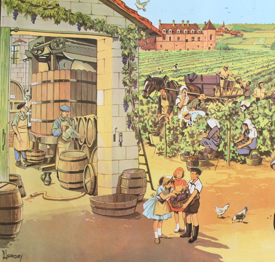 Vintage French School Poster - 'Grape Harvest' (Circa 1950s - 1960s)