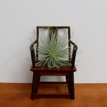 Miniature Chair Display Stand