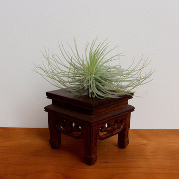 Miniature Chinese Wooden Table Display Stand