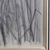 'Feather Reed Grass' by Unknown (1951)