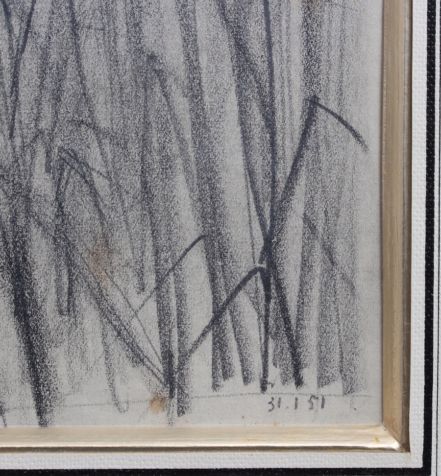 'Feather Reed Grass' by Unknown (1951)
