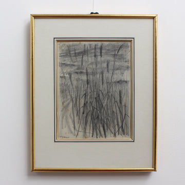 'Feather Reed Grass' by Unknown (1951)