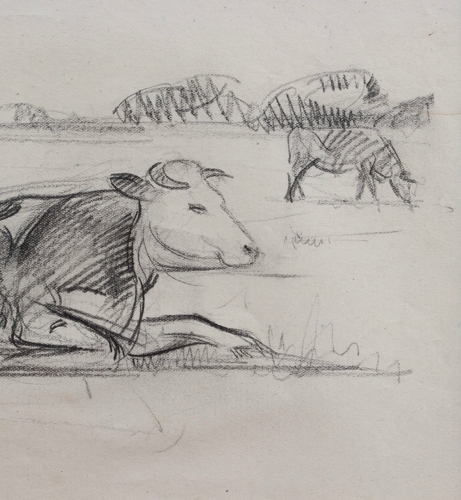 'Portrait of a Bull in a Field' by Guillaume Dulac (circa 1920s)