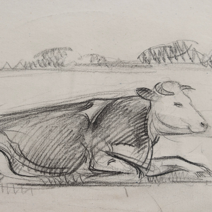 'Portrait of a Bull in a Field' by Guillaume Dulac (circa 1920s)
